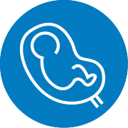 ¾ç¸· À̽ÄÀç ¾ÆÀÌÄÜ