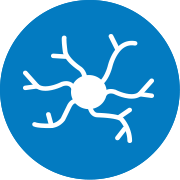 ½Å°æ À̽ÄÀç ¾ÆÀÌÄÜ