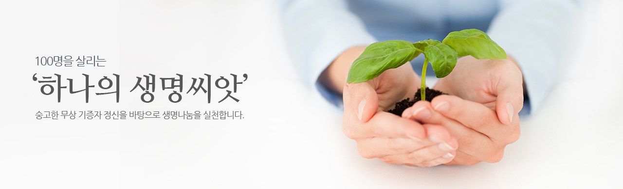 ѱ - ü ̽  ü踦 ϴ Ǻ  