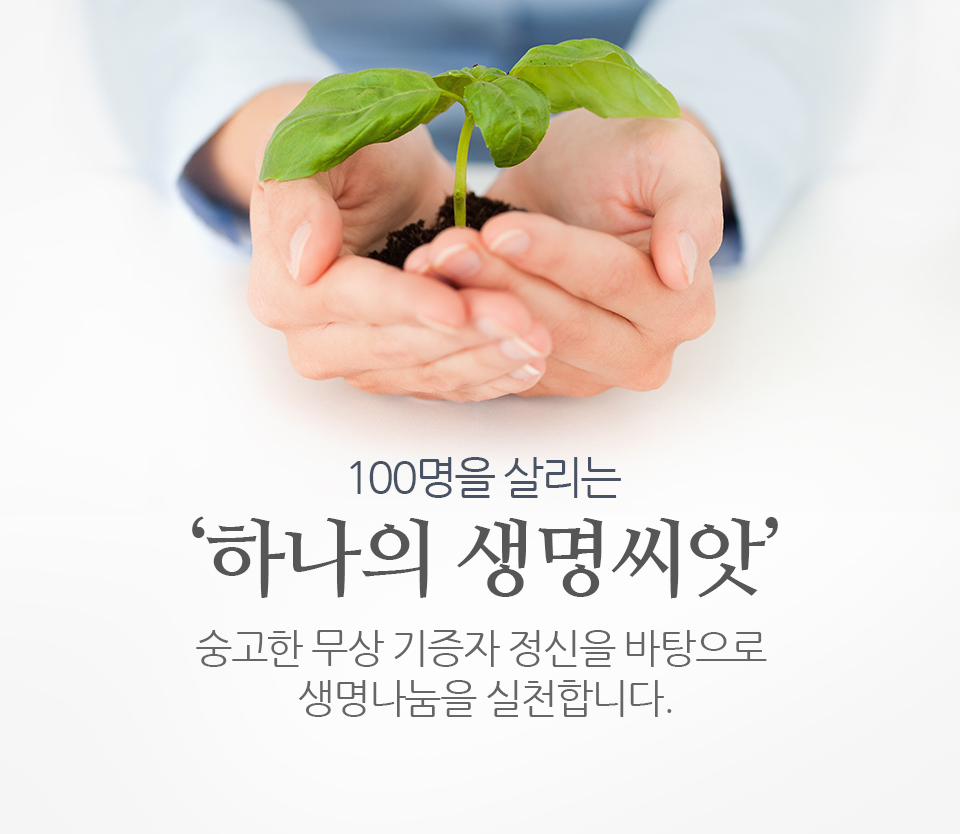 ѱ - ü ̽  ü踦 ϴ Ǻ  