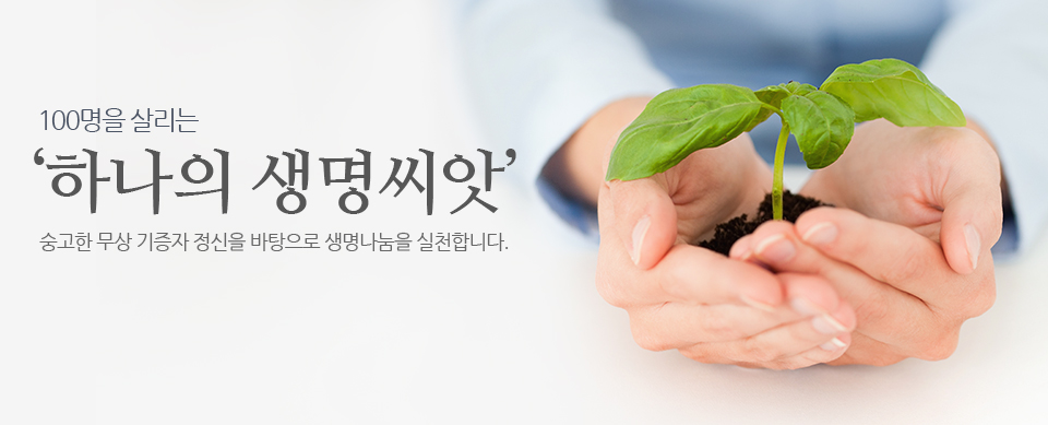 ѱ - ü ̽  ü踦 ϴ Ǻ  