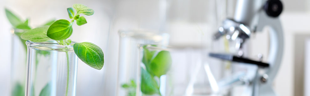 ü  - , , ٸ, Ǻ, 縷, δ, , Ǹ, , Ű, 帷