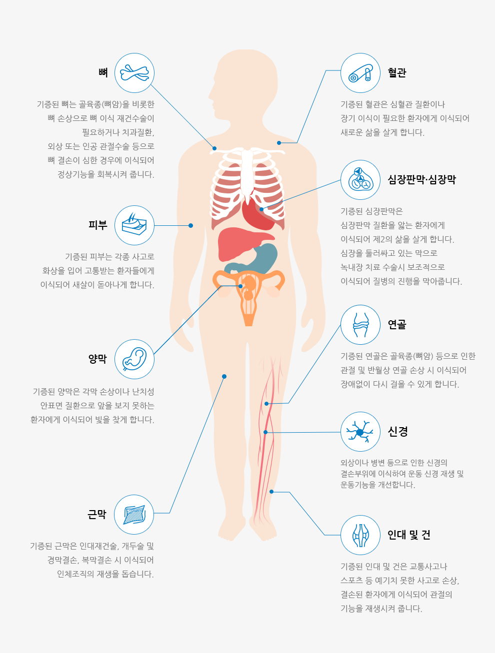 ü ̽  ׷ - , Ǻ, 縷, ٸ, , Ǹ, Ű, δ  , 