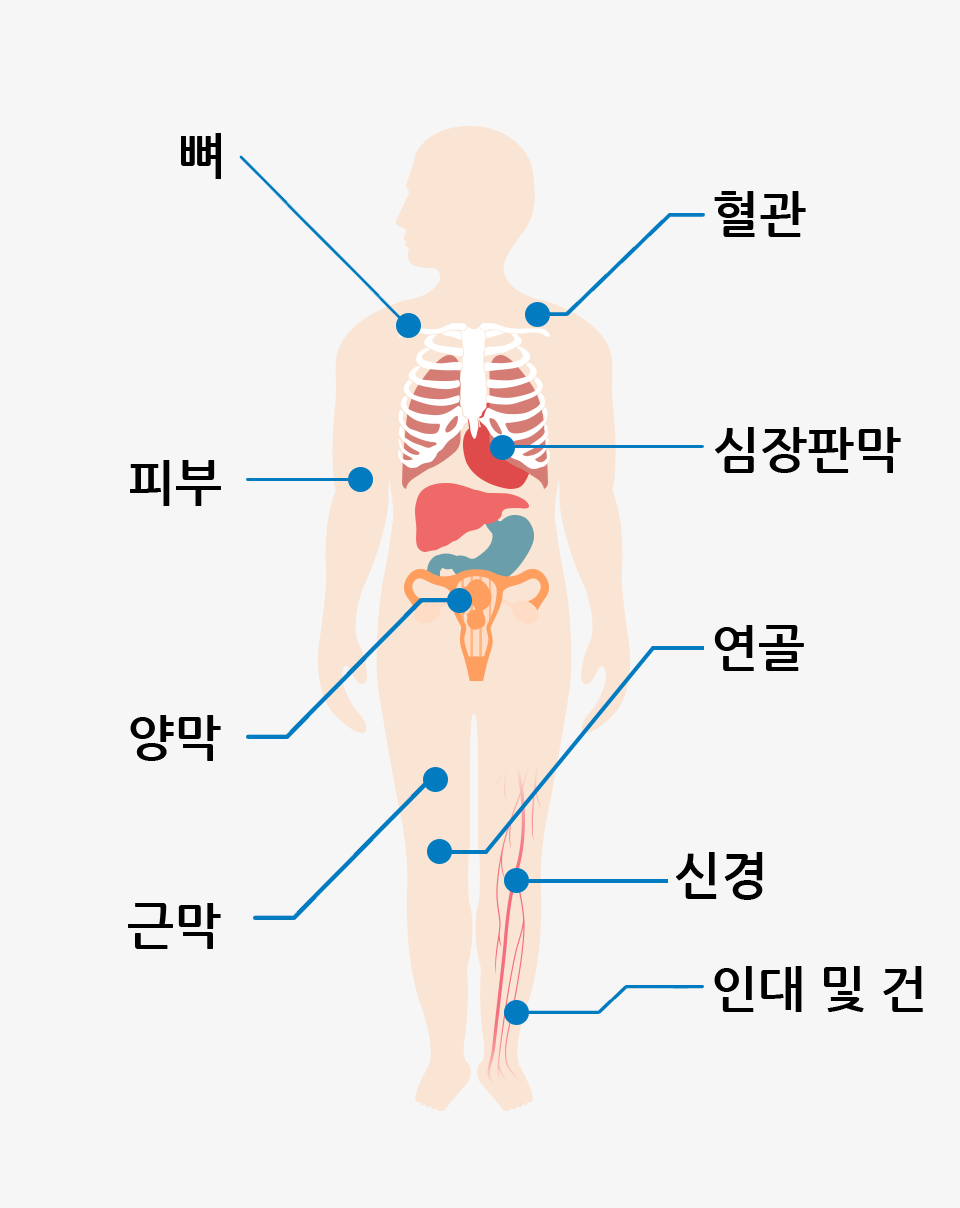 ü ̽  ׷ - , Ǻ, 縷, ٸ, , Ǹ, Ű, δ  , 