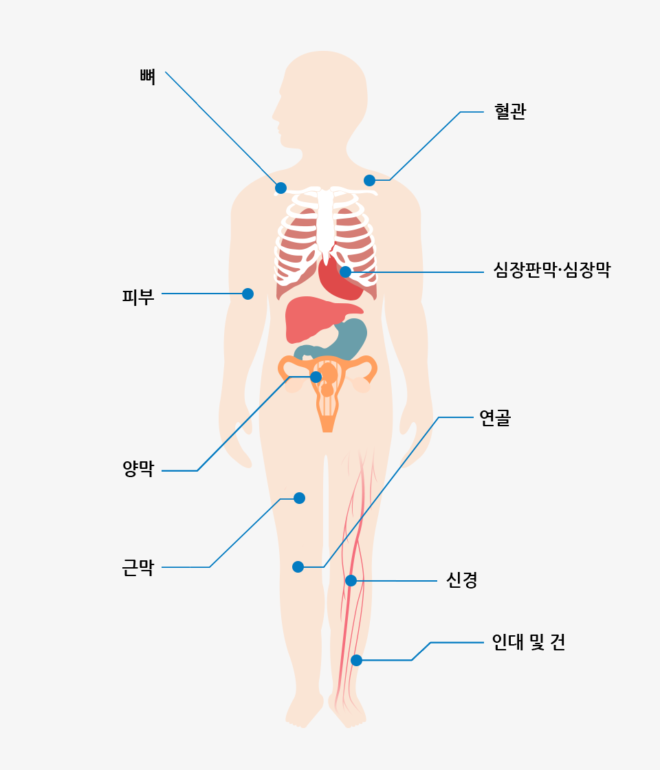 ü ̽  ׷ - , Ǻ, 縷, ٸ, , Ǹ, Ű, δ  , 